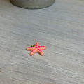 Starfish