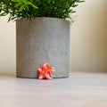 Beach flower charm